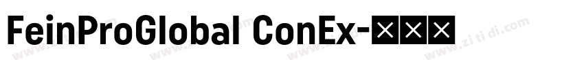 FeinProGlobal ConEx字体转换